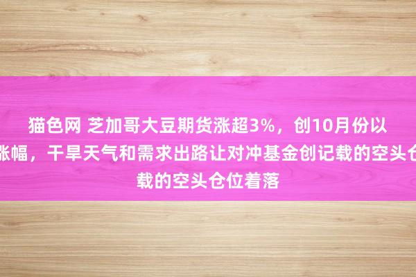 猫色网 芝加哥大豆期货涨超3%，创10月份以来最大涨幅，干旱天气和需求出路让对冲基金创记载的空头仓位着落