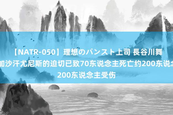 【NATR-050】理想のパンスト上司 長谷川舞 以军对加沙汗尤尼斯的迫切已致70东说念主死亡约200东说念主受伤