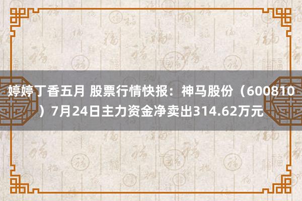 婷婷丁香五月 股票行情快报：神马股份（600810）7月24日主力资金净卖出314.62万元