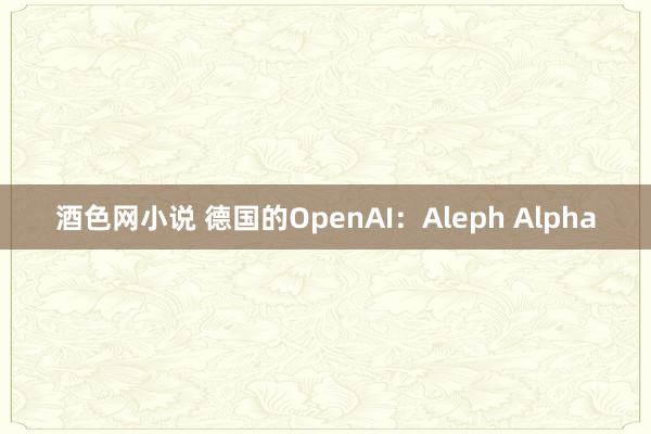 酒色网小说 德国的OpenAI：Aleph Alpha