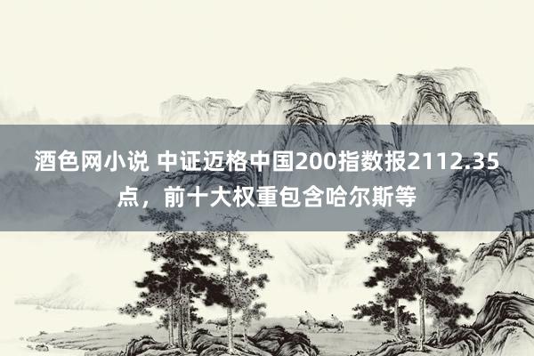 酒色网小说 中证迈格中国200指数报2112.35点，前十大权重包含哈尔斯等