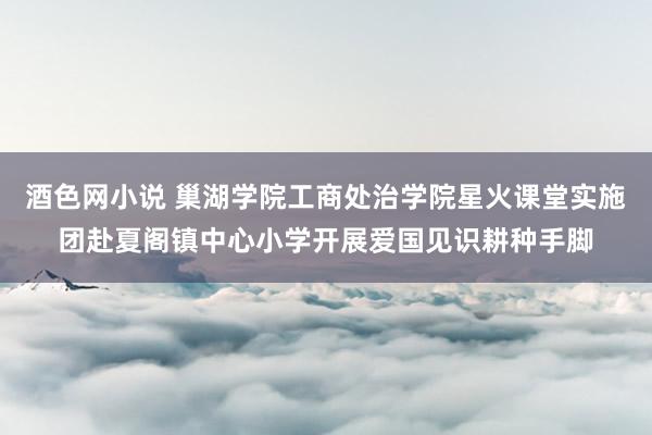 酒色网小说 巢湖学院工商处治学院星火课堂实施团赴夏阁镇中心小学开展爱国见识耕种手脚