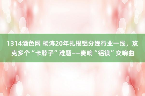 1314酒色网 杨涛20年扎根铝分娩行业一线，攻克多个“卡脖子”难题——奏响“铝镁”交响曲