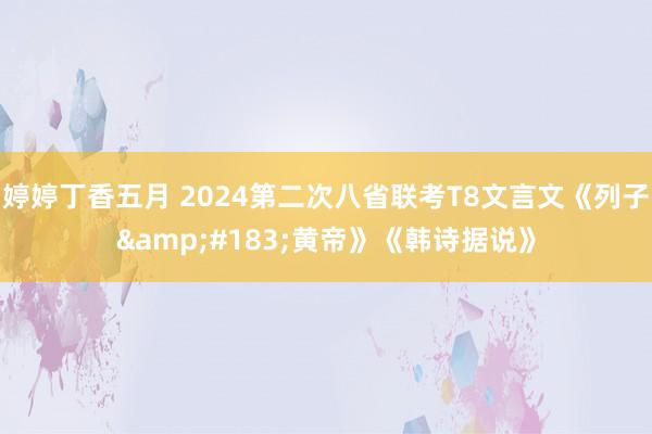 婷婷丁香五月 2024第二次八省联考T8文言文《列子&#183;黄帝》《韩诗据说》