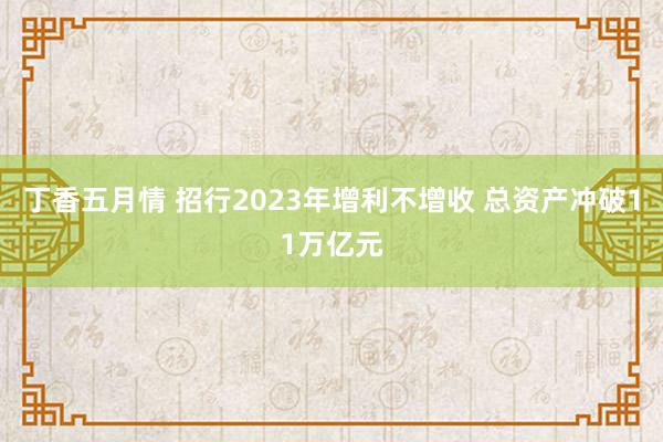 丁香五月情 招行2023年增利不增收 总资产冲破11万亿元