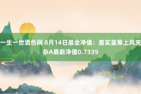 一生一世酒色网 8月14日基金净值：嘉实蓝筹上风夹杂A最新净值0.7339