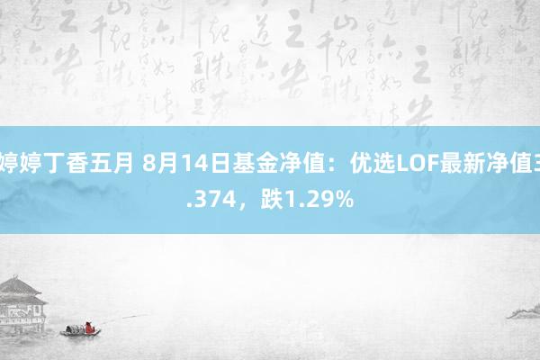 婷婷丁香五月 8月14日基金净值：优选LOF最新净值3.374，跌1.29%