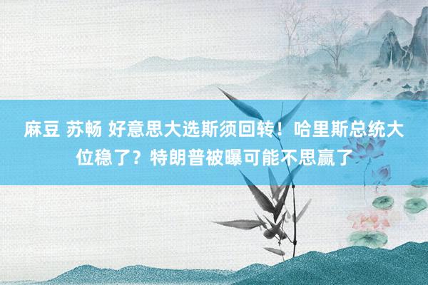 麻豆 苏畅 好意思大选斯须回转！哈里斯总统大位稳了？特朗普被曝可能不思赢了