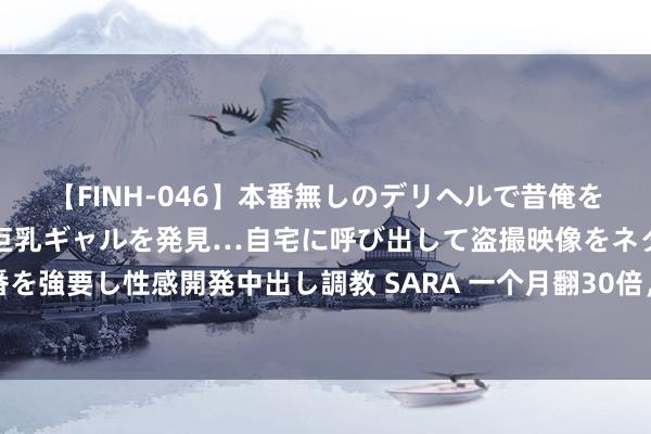 【FINH-046】本番無しのデリヘルで昔俺をバカにしていた同級生の巨乳ギャルを発見…自宅に呼び出して盗撮映像をネタに本番を強要し性感開発中出し調教 SARA 一个月翻30倍，这个湿巾把降温买卖作念明显了