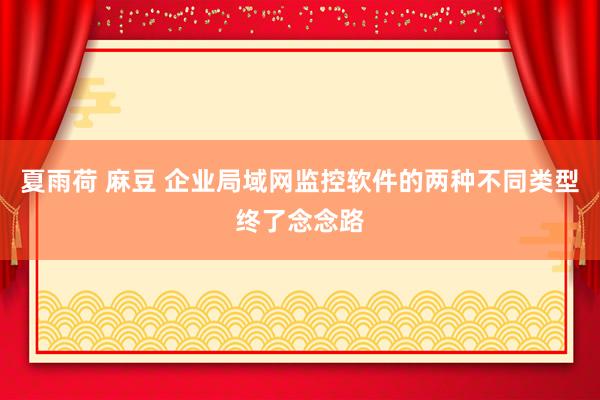 夏雨荷 麻豆 企业局域网监控软件的两种不同类型终了念念路