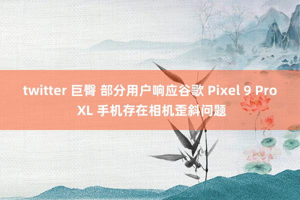 twitter 巨臀 部分用户响应谷歌 Pixel 9 Pro XL 手机存在相机歪斜问题