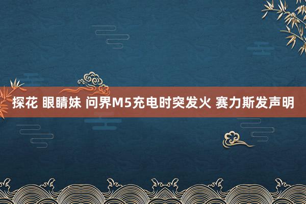 探花 眼睛妹 问界M5充电时突发火 赛力斯发声明