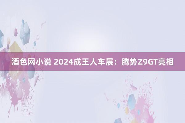 酒色网小说 2024成王人车展：腾势Z9GT亮相