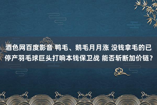 酒色网百度影音 鸭毛、鹅毛月月涨 没钱拿毛的已停产羽毛球巨头打响本钱保卫战 能否斩断加价链？