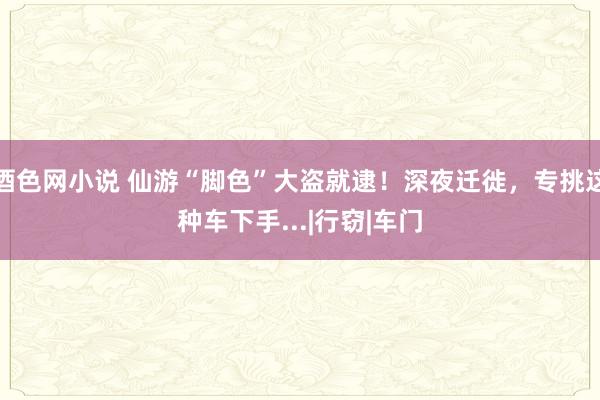 酒色网小说 仙游“脚色”大盗就逮！深夜迁徙，专挑这种车下手...|行窃|车门