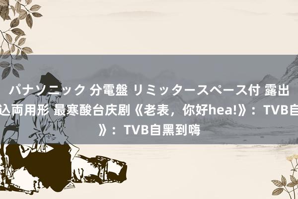 パナソニック 分電盤 リミッタースペース付 露出・半埋込両用形 最寒酸台庆剧《老表，你好hea!》：TVB自黑到嗨